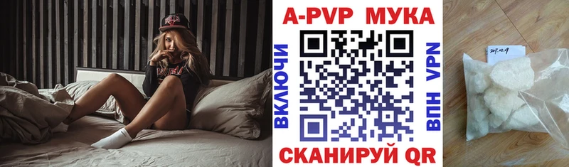 Alfa_PVP СК Малая Вишера